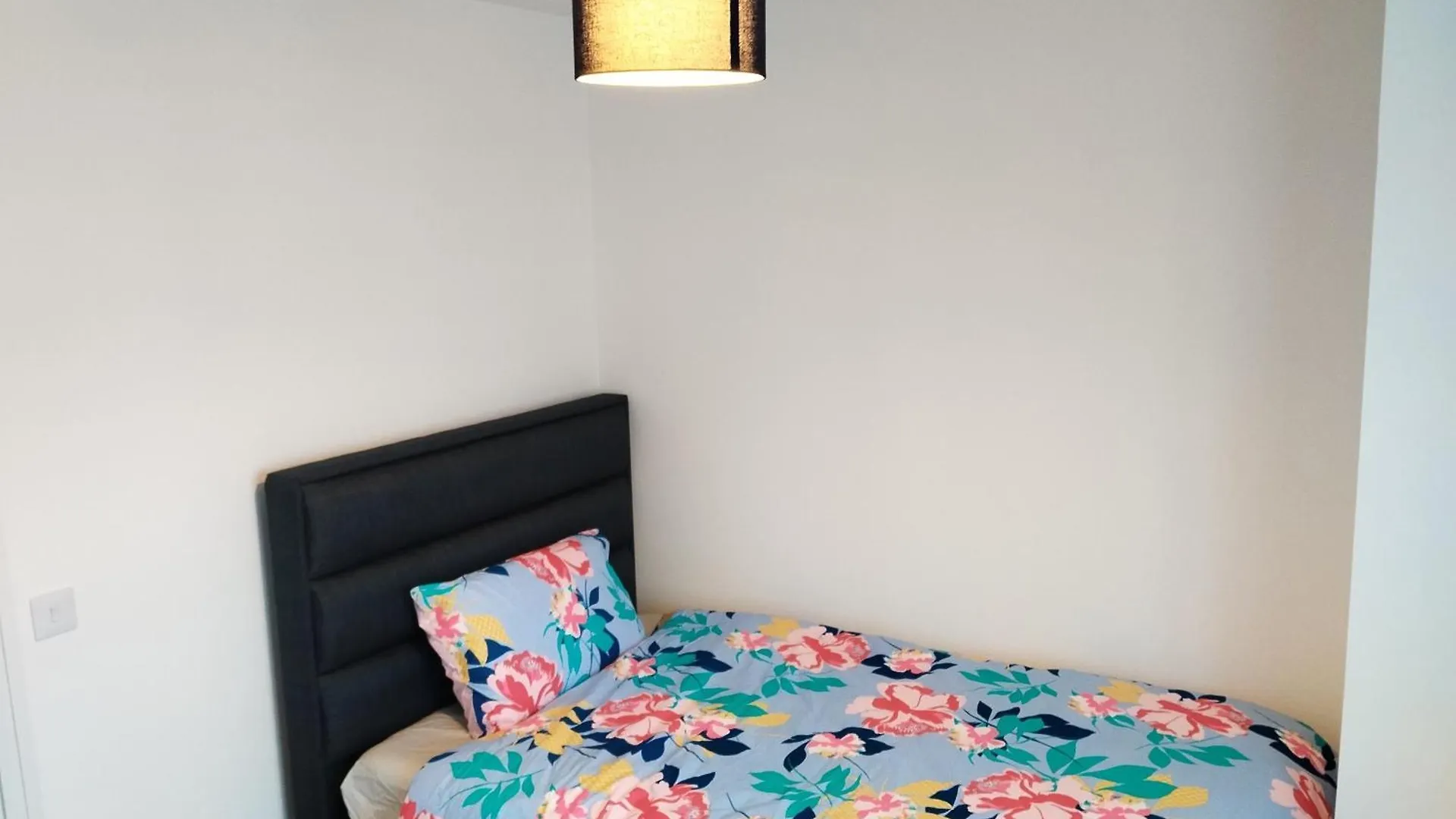 Homestay Dublin